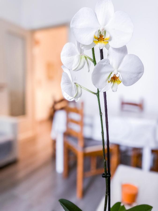 Myhouse Inn Marche - Affitti Brevi Italia Турин Екстер'єр фото
